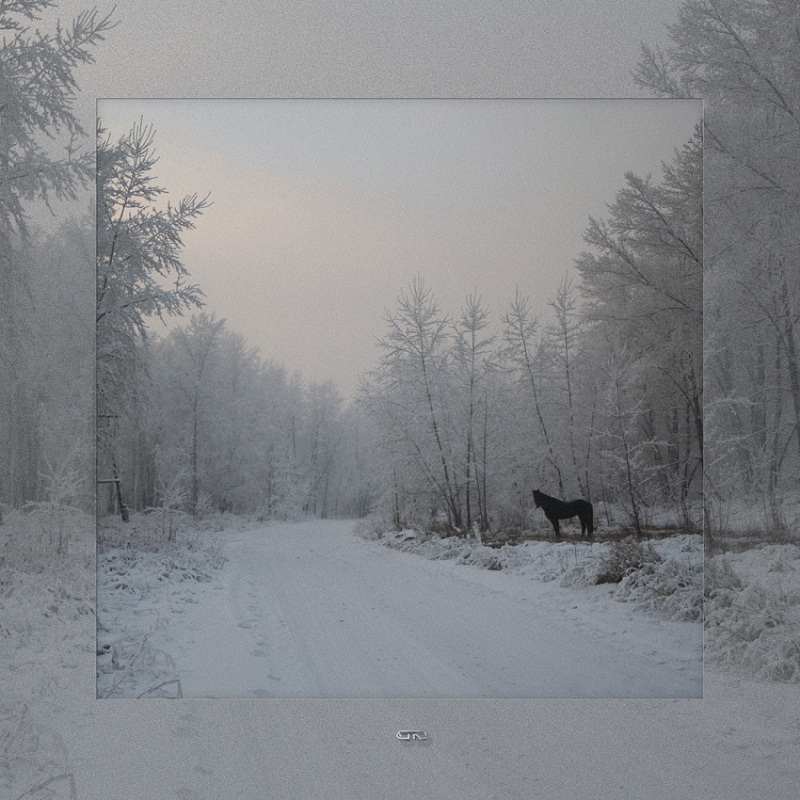 черный конь