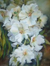 ДИВАННА серия МОЙ БЕЛЫЙ САД