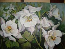 Аквилегия серия МОЙ БЕЛЫЙ САД