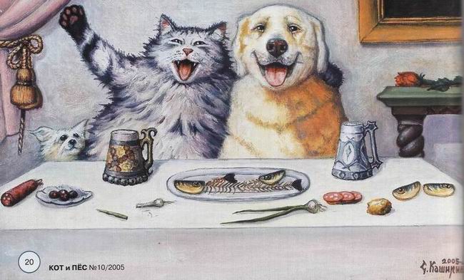Кот и пёс