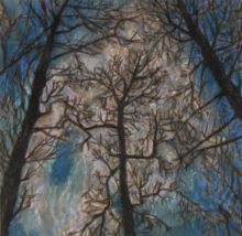 Сквозь ветви