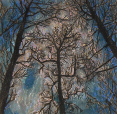 Сквозь ветви