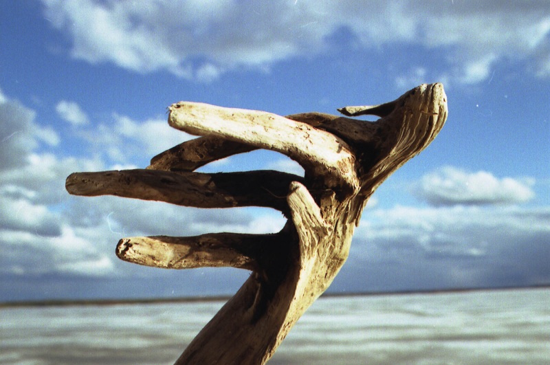 Рука Страдивари