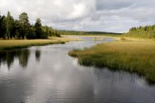 Карельский пейзаж.