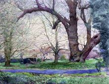 Аббатство в Англии.2005.Бумага,акварель. ...