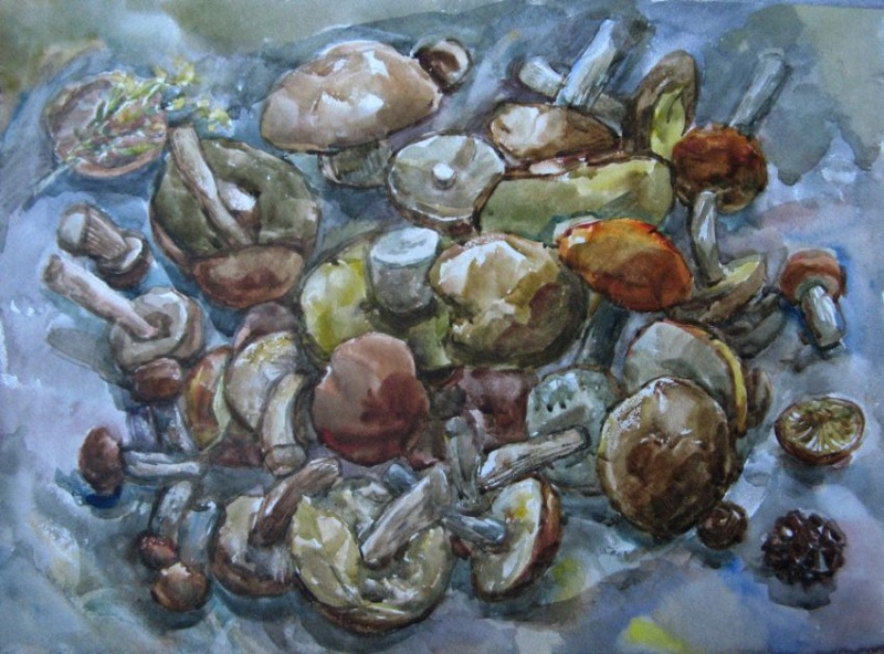 Подосиновики