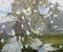 Бабочки над хутором