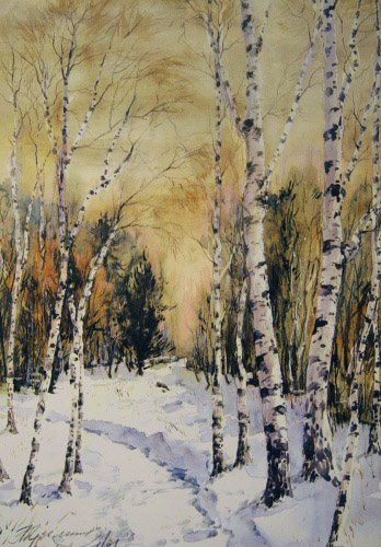 Зимняя дорожка