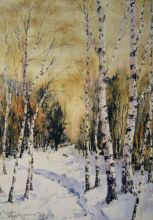 Зимняя дорожка