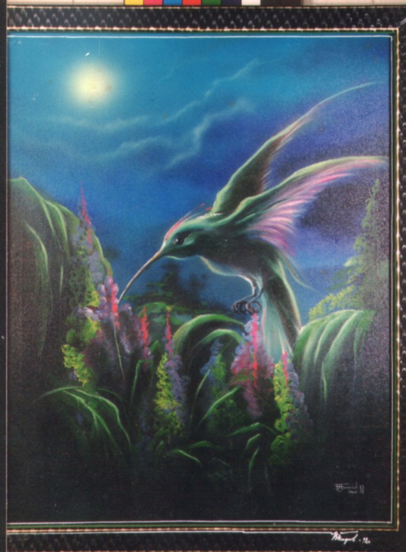 Гигантский колибря