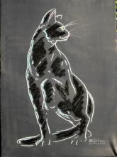 Внимание кошки