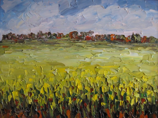 Рапсовое поле