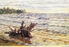 Заколдованный дракон