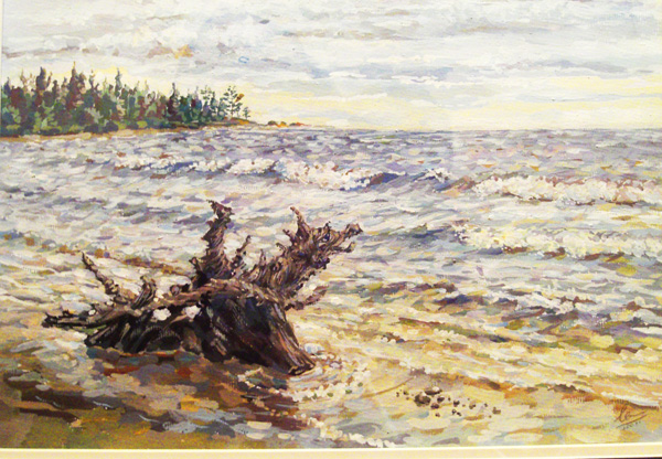 Заколдованный дракон