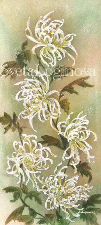 Хризантема Лучистая