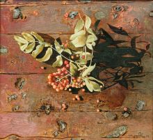 Ветка рябины