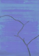 Морозное  утро.