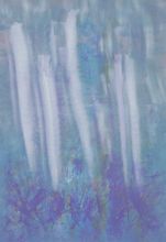 Метелки  травы.