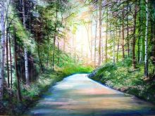 Дорога в лесу