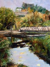 Дачная речка