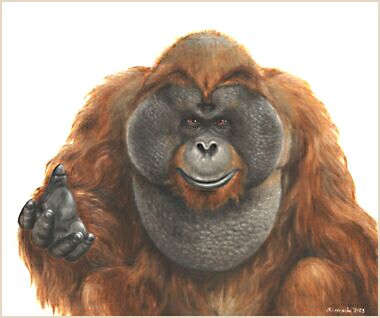 Орангутанг, 2003 г., холст, масло