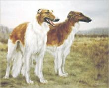 "Борзые в поле", 2002 г., холст, масло