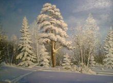 Свежая лыжня