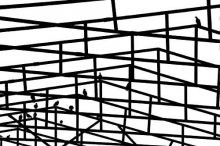 Заброшенная скотобойня