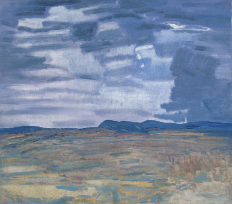 Дождь идёт-2009г