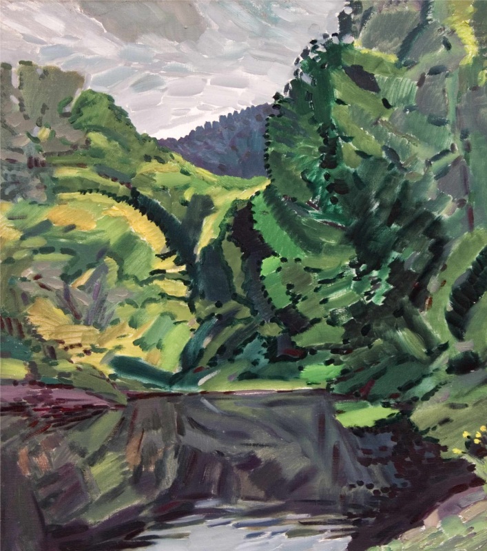 Лесное-озеро-2006г.