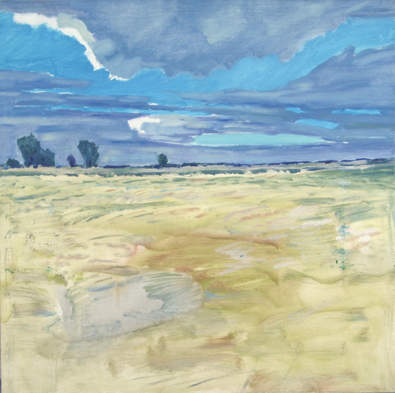 В степи-2009г