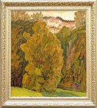 В-меловых-горах-2007г.