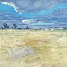 В степи-2009г