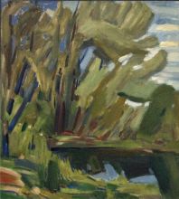 Ветел-заросли-2004г.Trees-of-a-thricket. ...