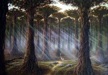 Реликтовый лес