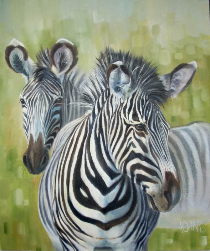 Полоска чёрная, полоска белая.