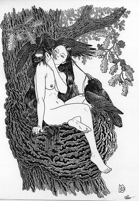 Цвета воронова крыла.