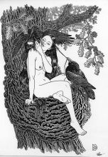 Цвета воронова крыла.