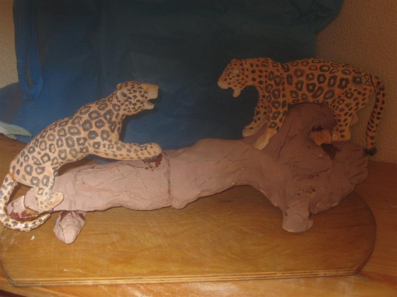 Cсора ягуаров 