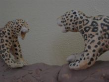 Ссора ягуаров ( фрагмент )