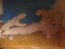 Cсора ягуаров 