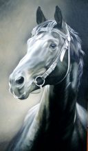 Конь серебряный