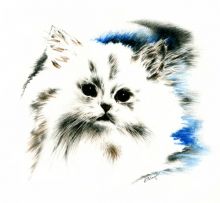 Снежок (котенок)