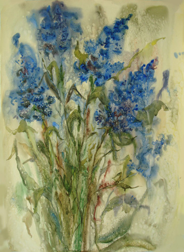 Дельфиниум