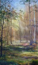 Редколесье