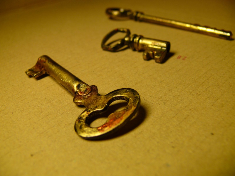 Обитатели древних лесов (фрагм.)