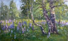 Люпиновый праздник