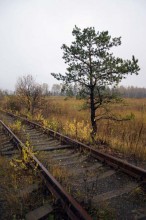 Старая дорога.