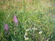 "Кусочек поля"