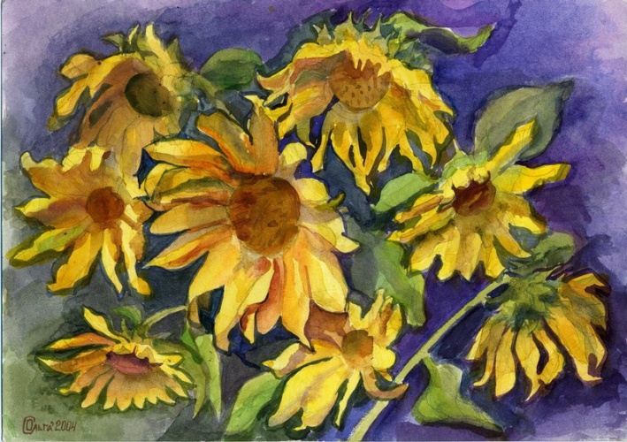 Склонившиеся подсолнухи. 